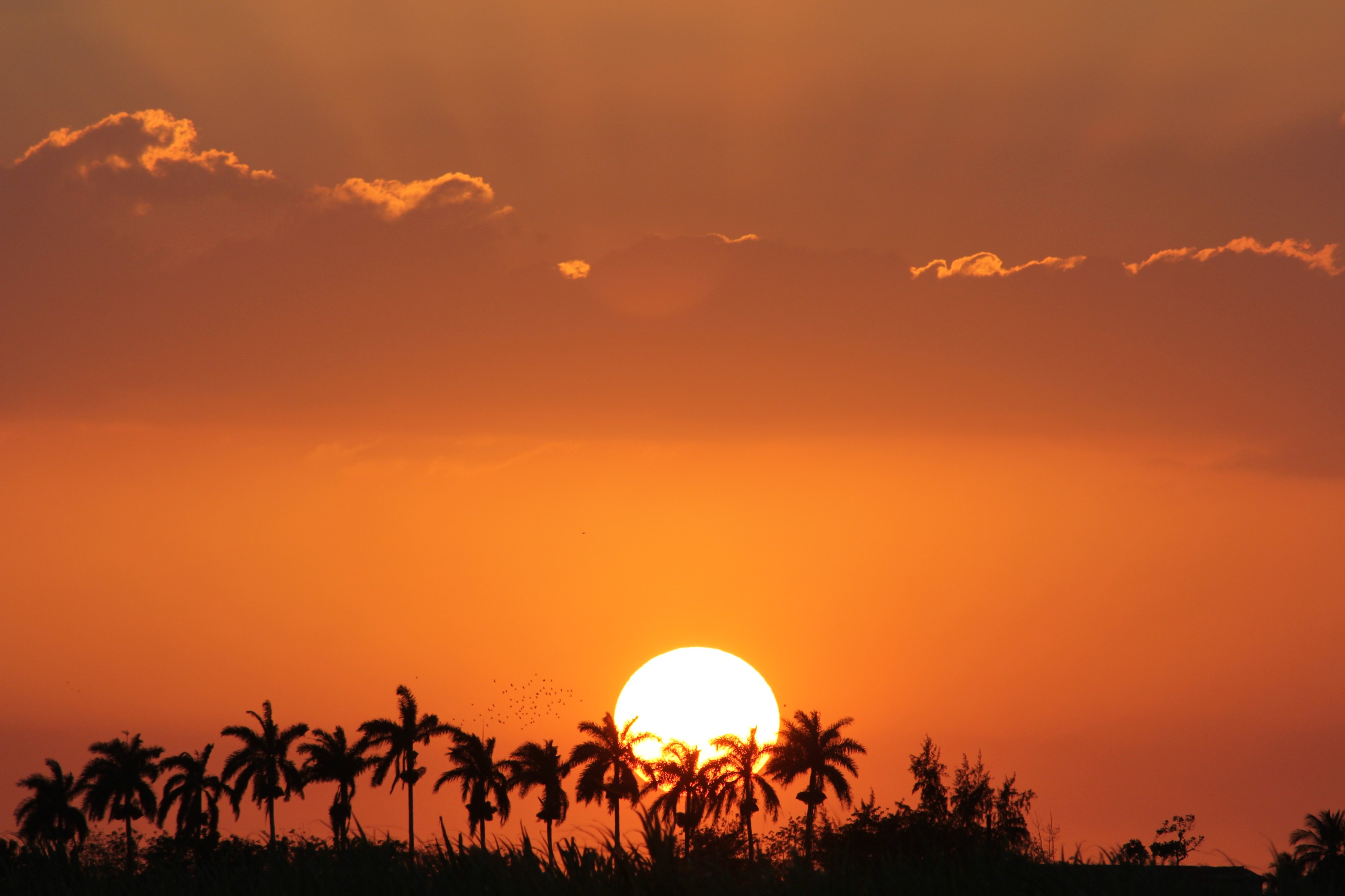 Cayo Coco, Kuba